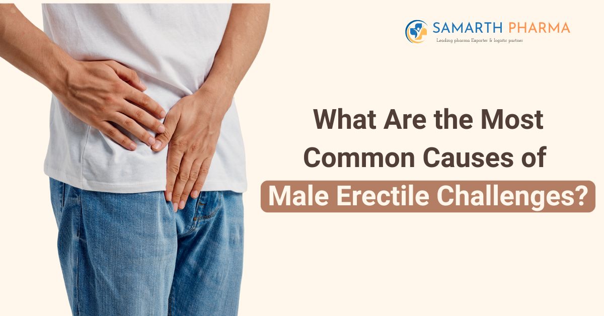 What Are the Most Common Causes of Male Erectile Challenges